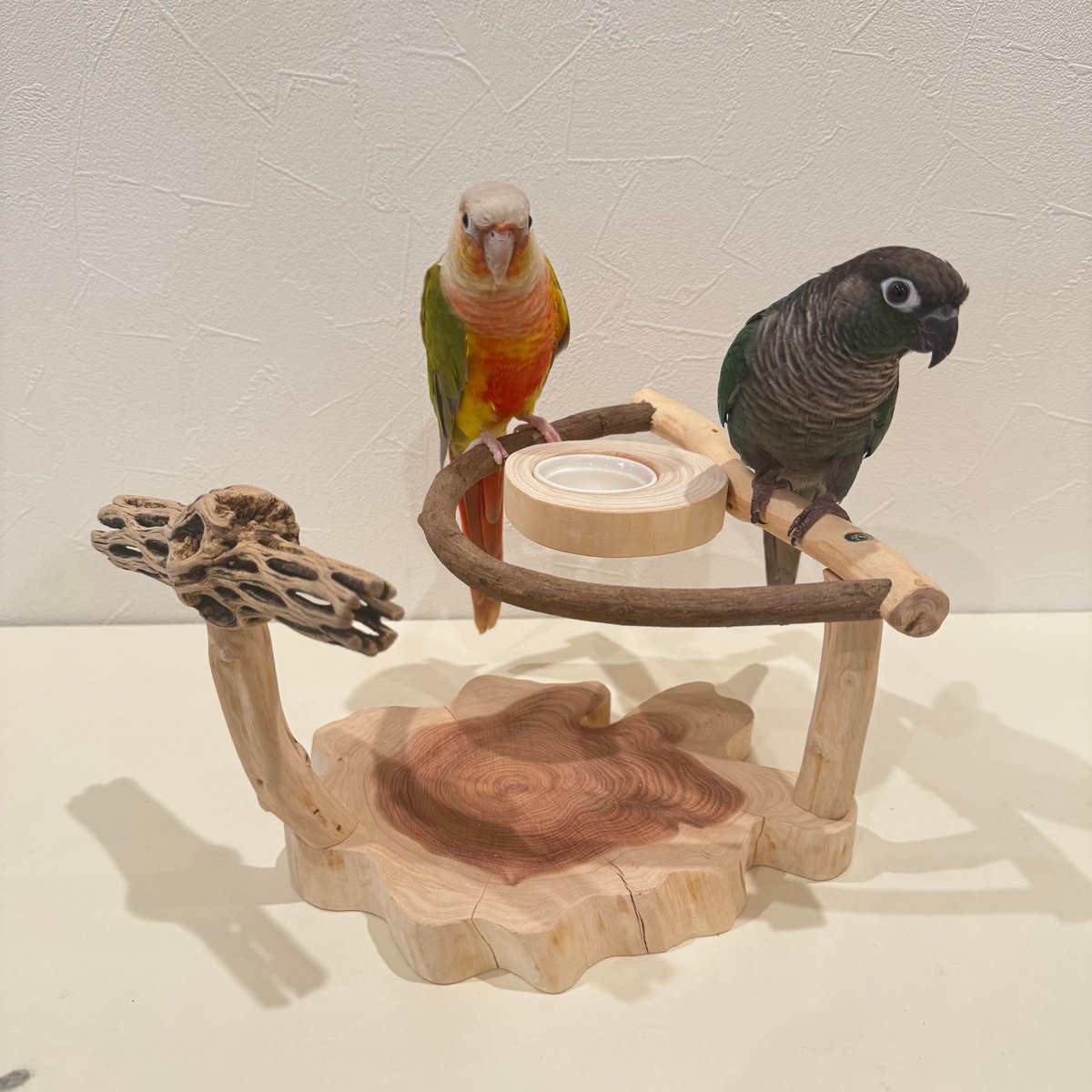 ツタとカクタスのおやつ入れ付きスタンドパーチ【インコ 止まり木 自然