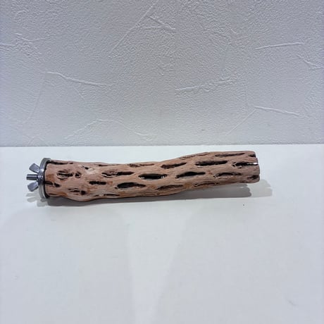 カクタスパーチ極小サイズ④ 直径約2.5cm/長さ15cm【自然木 止まり木 バンブルフット 趾瘤症 】