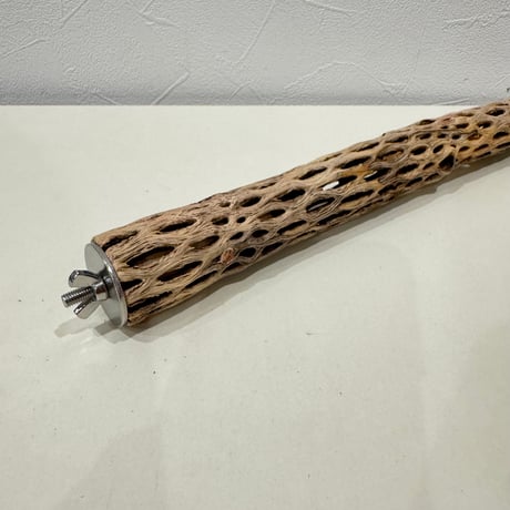 カクタスパーチ【E小】 30cm 直径約3cm【サボテンの骨 バンブルフット予防 インコ 止まり木】
