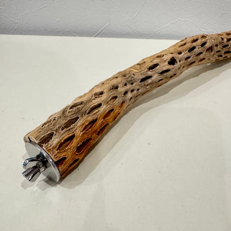 カクタスパーチ【D極小】 30cm 直径約2.5-3cm【サボテンの骨 バンブルフット予防 インコ 止まり木】