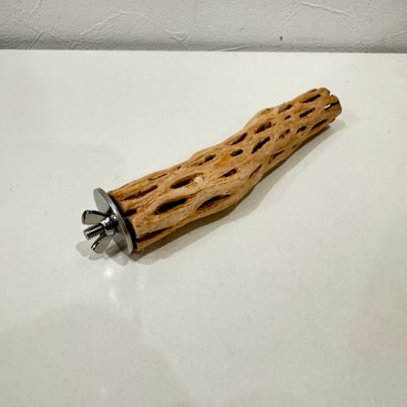カクタスパーチ【③極小】15cm 直径約2.5-3cm【サボテンの骨 バンブルフット予防 インコ 止まり木】