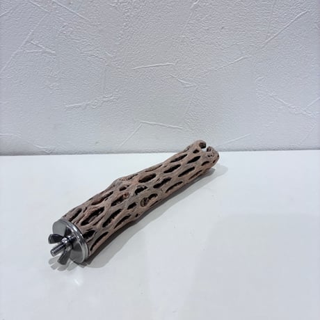 カクタスパーチ極小サイズ⑥ 直径約2.7cm/長さ15cm【自然木 止まり木 バンブルフット 趾瘤症 】