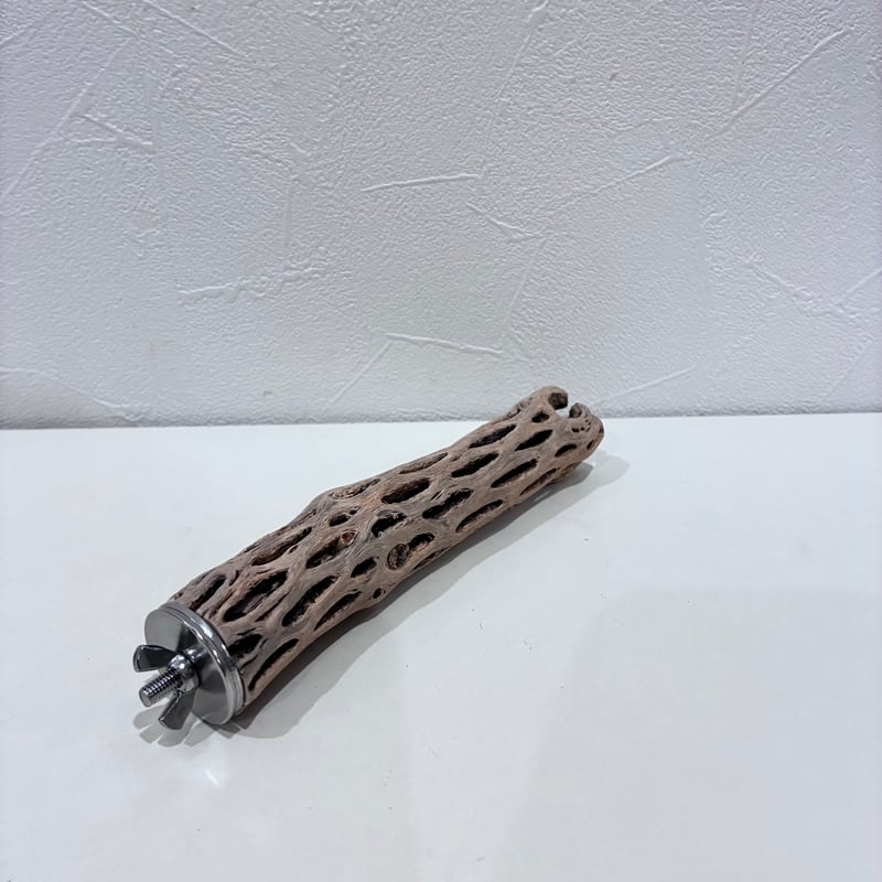 カクタスパーチ極小サイズ⑥ 直径約2.7cm/長さ15cm【自然木 止まり木