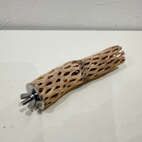 カクタスパーチ【⑱極小】15cm 直径約2.5-3cm【サボテンの骨 バンブルフット予防 インコ 止まり木】
