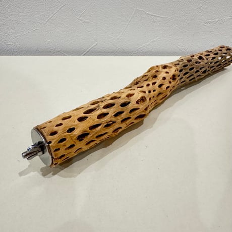 カクタスパーチ【F小】 30cm 直径約3cm【サボテンの骨 バンブルフット予防 インコ 止まり木】
