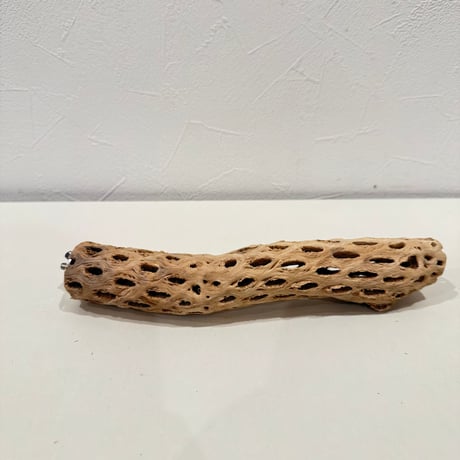 カクタスパーチ【L小】23cm 直径約4cm【サボテンの骨 バンブルフット予防 インコ 止まり木】