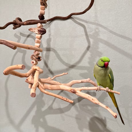 【Ｎ様専用】コトリのなる木カスタム【インコ 自然木 止まり木】
