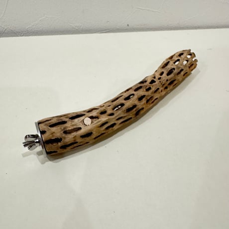 カクタスパーチ【N極小】 20cm 直径約2.5-3cm【サボテンの骨 バンブルフット予防 インコ 止まり木】