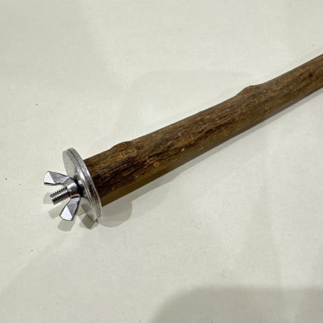 殿様パーチ（自然木ツタ）HOEI35  直径約1.6cm【自然木 止まり木 バンブルフット予防】