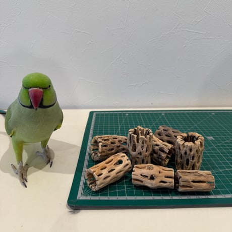 自然木の鳥用品 鳥豆堂【トリマメドウ】バードアスレチック・カクタス