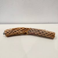カクタスパーチ【G小】26cm 直径約3.5-4cm【サボテンの骨 バンブルフット予防 インコ 止まり木】