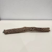 カクタスパーチ【C極小】 30cm 直径約2.5-3cm【サボテンの骨 バンブルフット予防 インコ 止まり木】