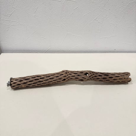 カクタスパーチ【C極小】 30cm 直径約2.5-3cm【サボテンの骨 バンブルフット予防 インコ 止まり木】