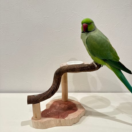 おやつ入れ付きツタのスタンドパーチ【自然木 インコ 止まり木】
