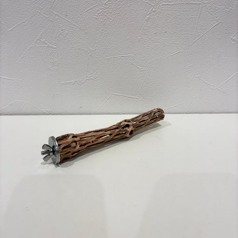 カクタスパーチ極小サイズ① 直径約2cm/長さ15cm【自然木 止まり木
