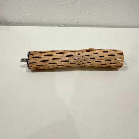 カクタスパーチ【⑦極小】15cm 直径約2.5-3cm【サボテンの骨 バンブルフット予防 インコ 止まり木】