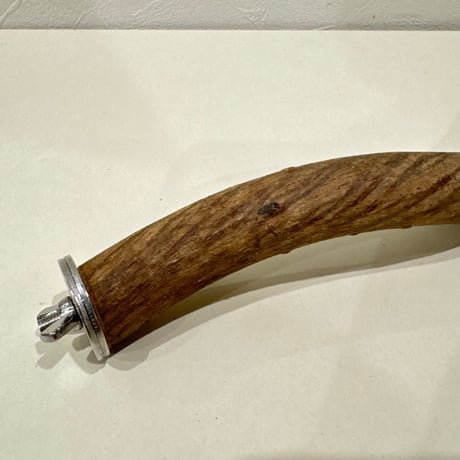 殿様パーチ（自然木ツタ）①HOEI465サイズ  直径約2.4cm【自然木 止まり木 バンブルフット予防】