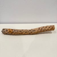 カクタスパーチ【D極小】 30cm 直径約2.5-3cm【サボテンの骨 バンブルフット予防 インコ 止まり木】