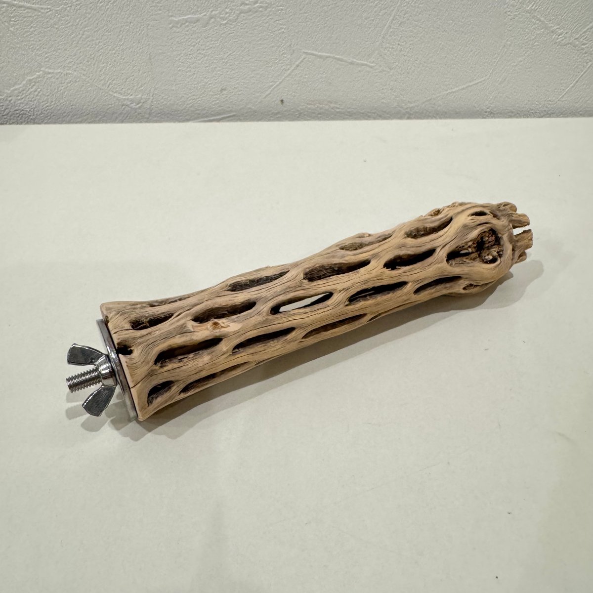 カクタスパーチ【⑨極小】15cm 直径約2.5-3cm【サボテンの骨 バンブル
