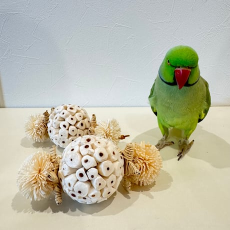 天然素材100% ソラボールのフットトイ【インコのおもちゃ ストレス発散】
