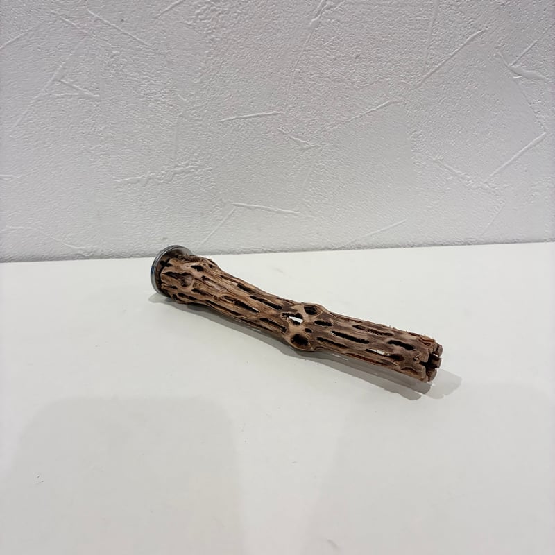 カクタスパーチ極小サイズ① 直径約2cm/長さ15cm【自然木 止まり木