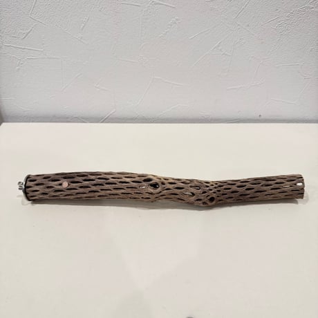 カクタスパーチ【C極小】 30cm 直径約2.5-3cm【サボテンの骨 バンブルフット予防 インコ 止まり木】