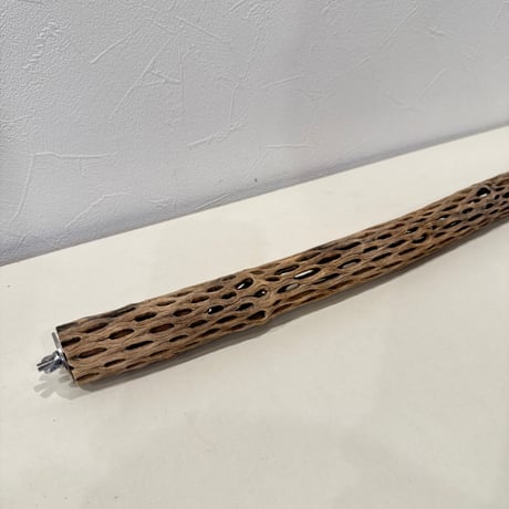 ③カクタスパーチ両留め 長さ44cm/直径約3-3.5cm【サボテンの骨 バンブルフット】