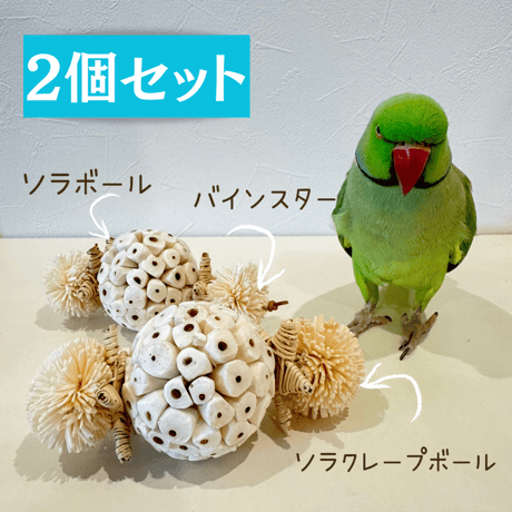 自然木の鳥用品 鳥豆堂【トリマメドウ】バードアスレチック・カクタス