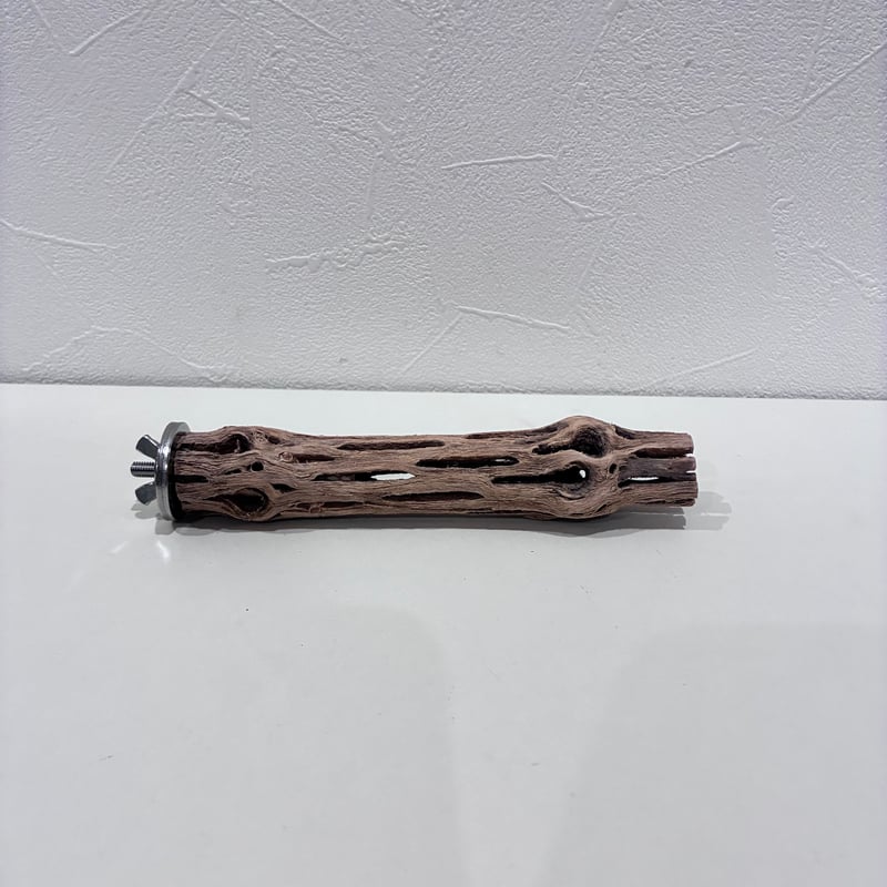 カクタスパーチ極小サイズ③ 直径約2.4cm/長さ15cm【自然木 止まり木