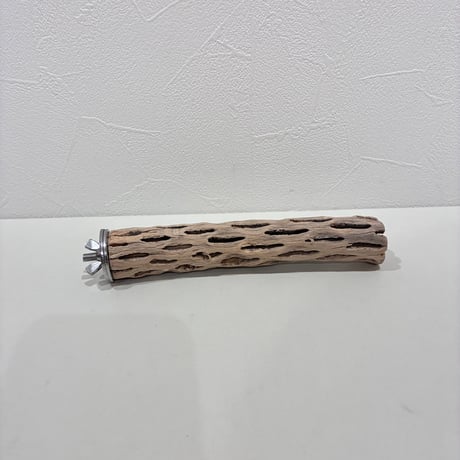 CATEGORY カクタスパーチ | 自然木の鳥用品 鳥豆堂【トリマメドウ