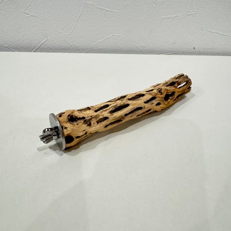 カクタスパーチ【②極小】15cm 直径約2.5-3cm【サボテンの骨 バンブルフット予防 インコ 止まり木】