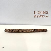 ③カクタスパーチ両留め 長さ44cm/直径約3-3.5cm【サボテンの骨 バンブルフット】