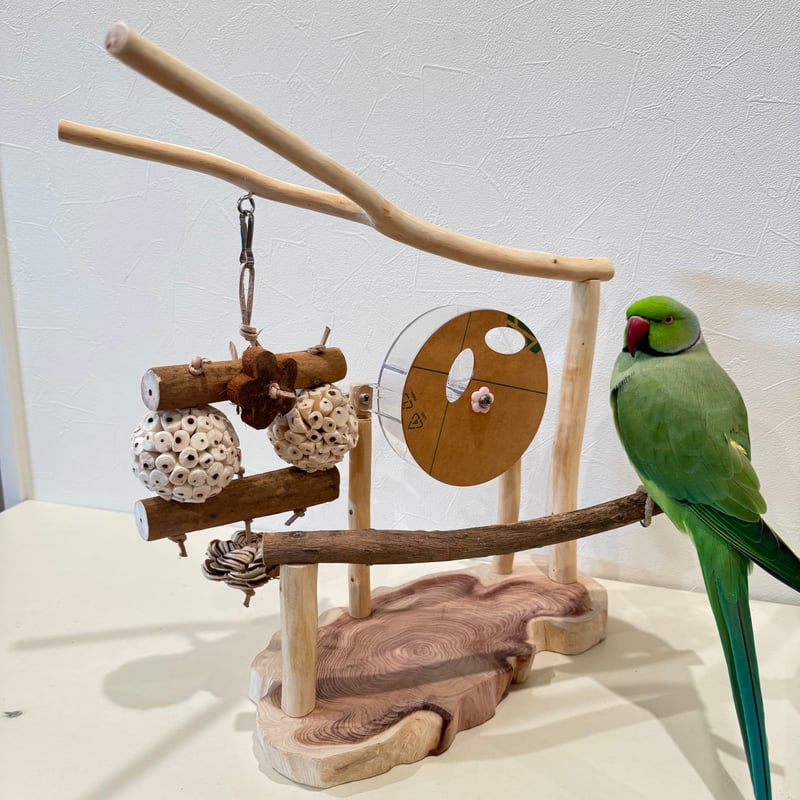 フォレイジングトイつきアスレチック【インコのおもちゃ バードトイ
