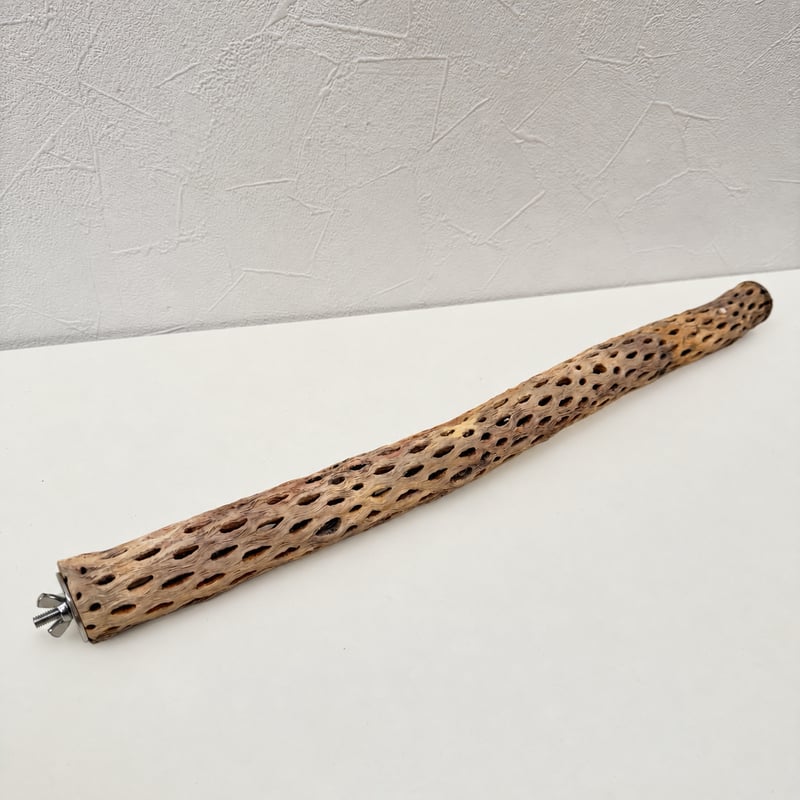 surimiton様専用】カクタスパーチ両留め 長さ44cm/直径約3cm