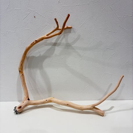【yuji_sota様専用】ツタパーチ（自然木ツタ）各種・カイヅカのピノキオの鼻
