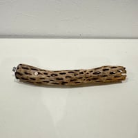 カクタスパーチ【N極小】 20cm 直径約2.5-3cm【サボテンの骨 バンブルフット予防 インコ 止まり木】