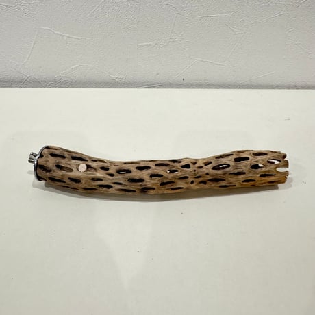 カクタスパーチ【N極小】 20cm 直径約2.5-3cm【サボテンの骨 バンブルフット予防 インコ 止まり木】
