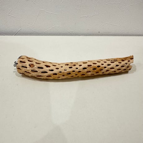 カクタスパーチ【M極小】 20cm 直径約2.5-3cm【サボテンの骨 バンブルフット予防 インコ 止まり木】
