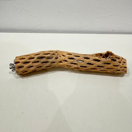 カクタスパーチ【L小】23cm 直径約4cm【サボテンの骨 バンブルフット予防 インコ 止まり木】