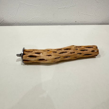 カクタスパーチ【③極小】15cm 直径約2.5-3cm【サボテンの骨 バンブルフット予防 インコ 止まり木】