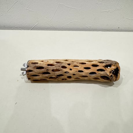 カクタスパーチ【⑮小】15cm 直径約3.5cm【サボテンの骨 バンブルフット予防 インコ 止まり木】