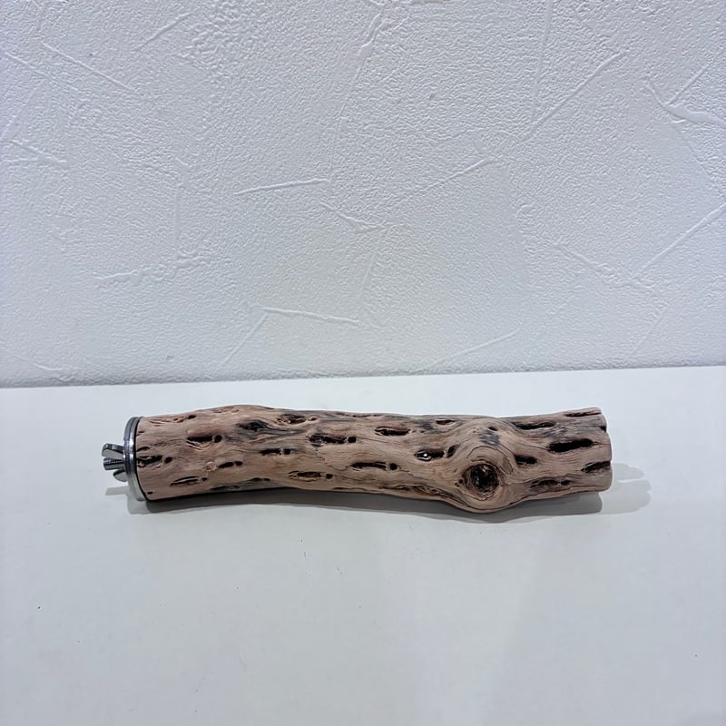 カクタスパーチ極小サイズ⑦ 直径約2.7cm/長さ15cm【自然木 止まり木