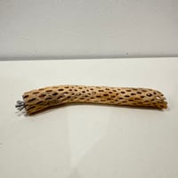 カクタスパーチ【M極小】 20cm 直径約2.5-3cm【サボテンの骨 バンブルフット予防 インコ 止まり木】