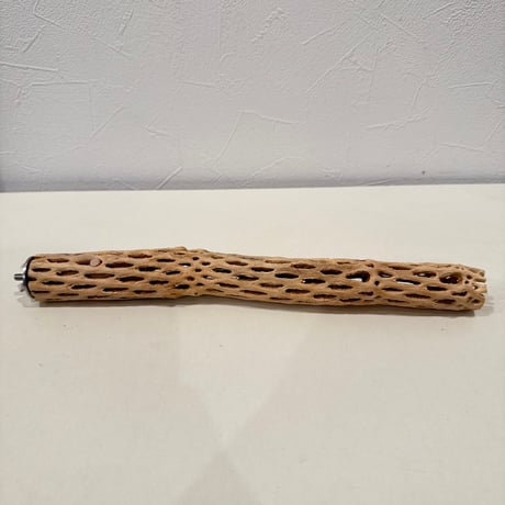 カクタスパーチ【B小】 30cm 直径約3cm【サボテンの骨 バンブルフット予防 インコ 止まり木】