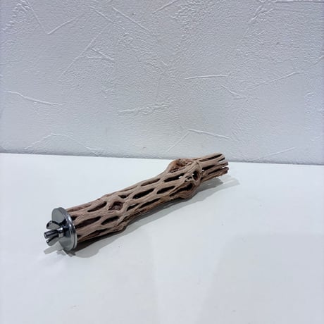 カクタスパーチ極小サイズ④ 直径約2.5cm/長さ15cm【自然木 止まり木 バンブルフット 趾瘤症 】