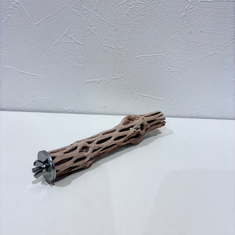 カクタスパーチ極小サイズ④ 直径約2.5cm/長さ15cm【自然木 止まり木