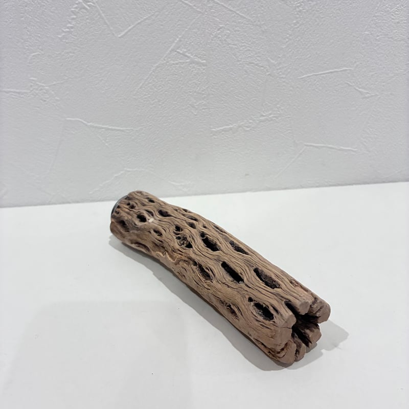 カクタスパーチ極小サイズ⑬ 直径約3cm/長さ15cm【自然木 止まり木