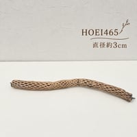 ②カクタスパーチ HOEI465 直径約3cm【サボテンの骨 バンブルフット予防 インコ 止まり木】