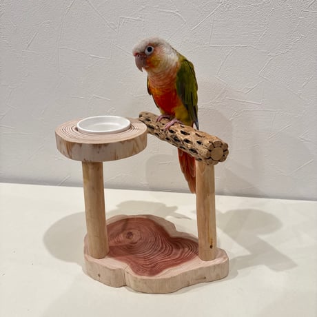 おやつ入れ付きカクタスのスタンドパーチ【サボテンの骨 バンブルフット予防 インコ 止まり木】
