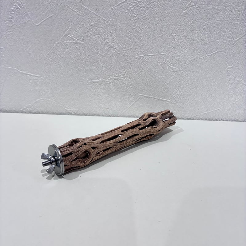 カクタスパーチ極小サイズ③ 直径約2.4cm/長さ15cm【自然木 止まり木